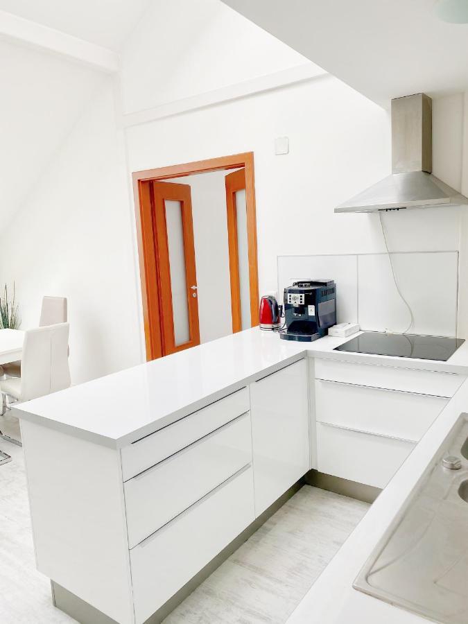 Loft With Rooftop And Free Parking In Garage Appartement Budapest